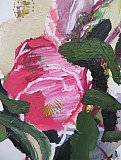 Floribunda Spring Camelias and Japonica detail - Floribunda